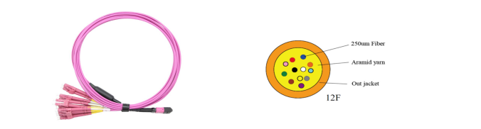12F MTP OM4 Fiber Optic MTP-LC 2.0mm Straight Harness Cables