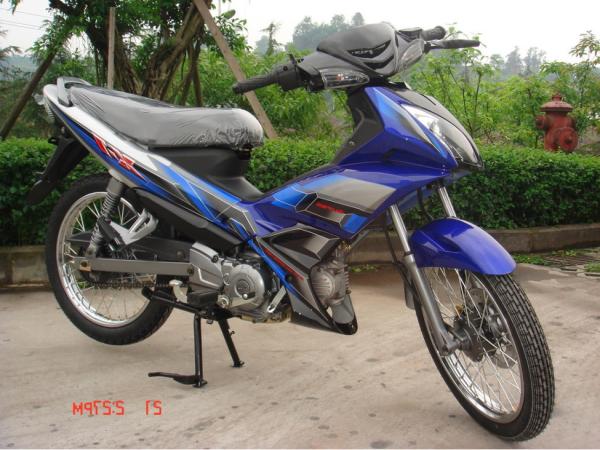 Heterotype Muffler Moped Street Bike Crystal Lamp Rear Rack 110cc Automatic Dirt Vehicles