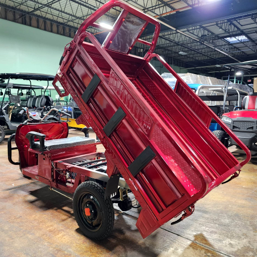 Электрическая приведенная в действие тележка груза 1000 моторизованный ваттом скутер велосипеда колеса мопеда 3