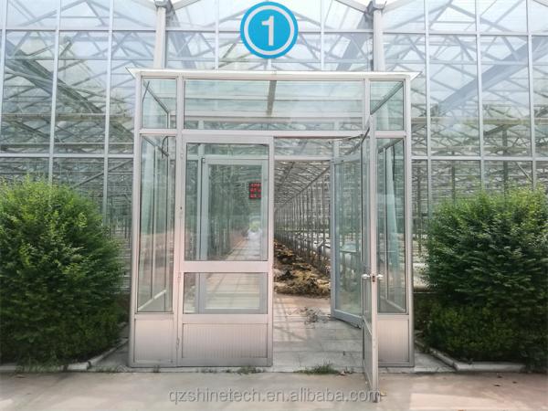 Large Agricultural Greenhouse with Galvanized Steel Frame and Optional Cooling System