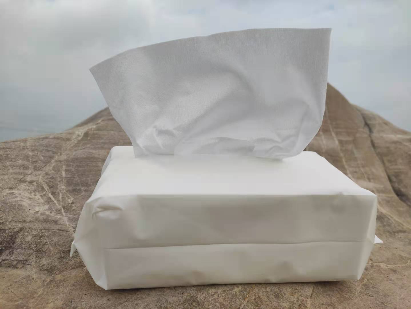 сухой руки стороны вискозы 50G 100% устранимый обтирает кожу дружелюбный никакое раздражение