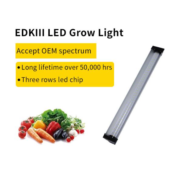 AC85-265V 80W Reptile Light ROHS Full Spectrum Led Light For Leopard Gecko