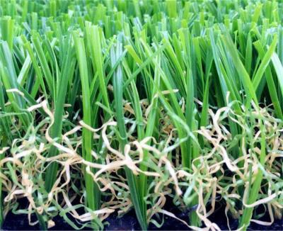Campo/gramados falsos grama de Olive Green Playground Artificial Turf Anti-UV