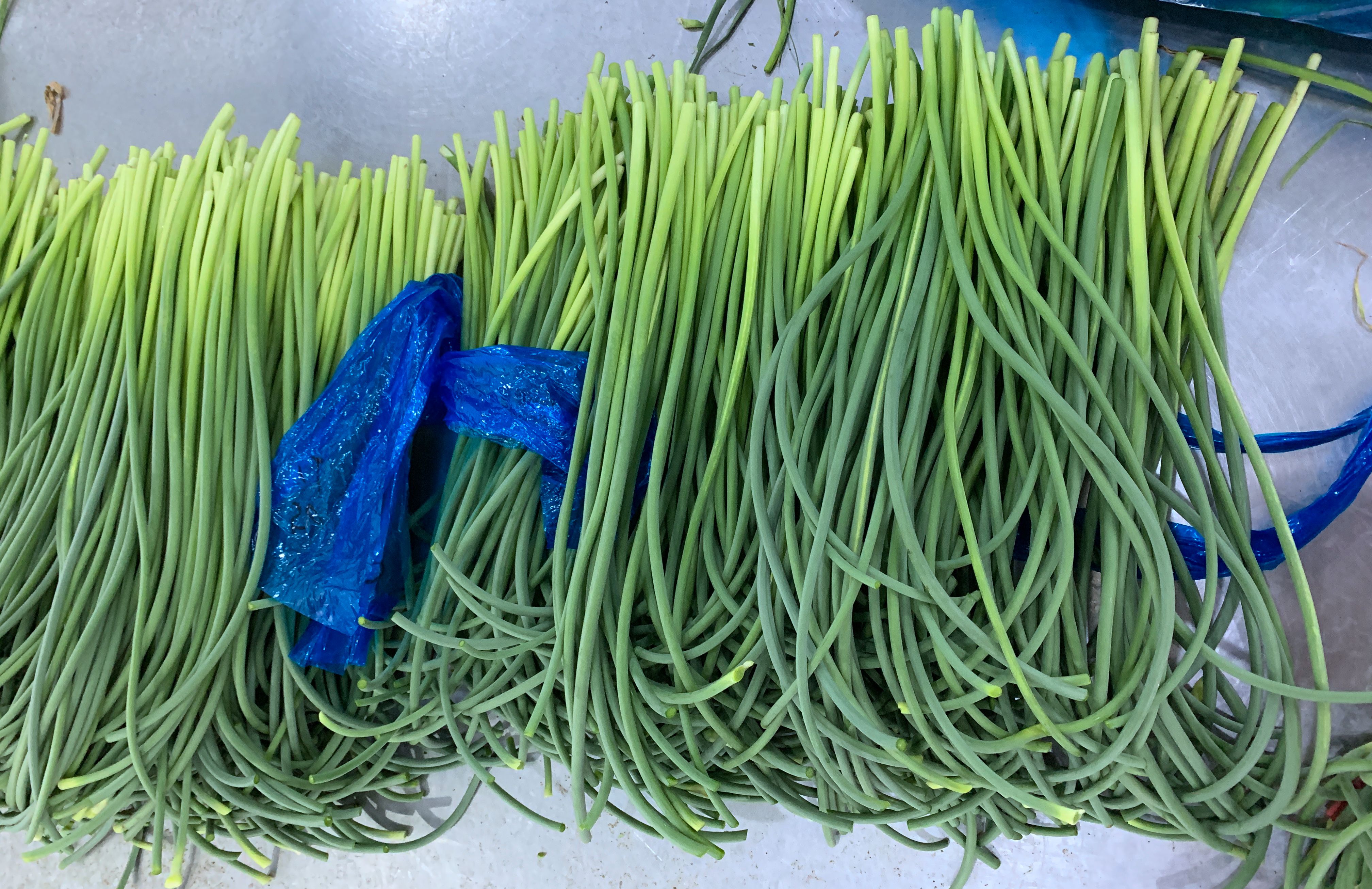 Зеленый цвет ростков чеснока HACCP 45cm китайский