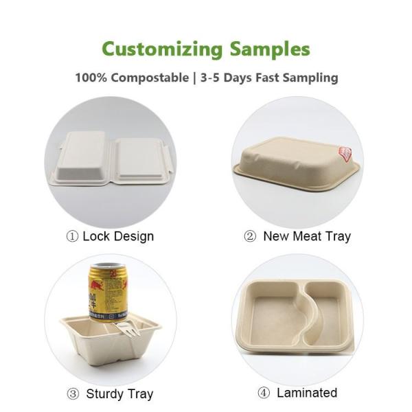 Custom Biodegradable Sugarcane Bagasse Pulp Fiber Fast Food Packing Paper Box Bio Degradable Takeaway To Go Container