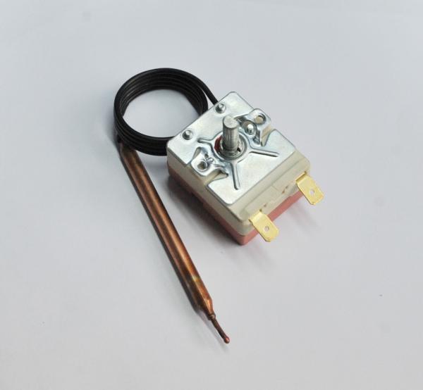 CSRY 250V 10A Thermal Cutoff Fuse , Non-Recloseable Thermal Fuse Switch