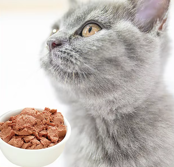 Main Ingredient Tuna 15g/pcs Cat Snack Sticks for Nutrient and Calcium Supplement