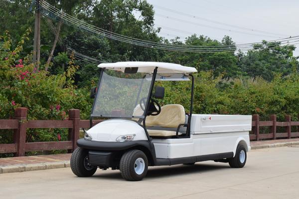 Dois carrinhos de golfe bondes exteriores de Seater com o controlador de serviço público de Curtis 350A da carga