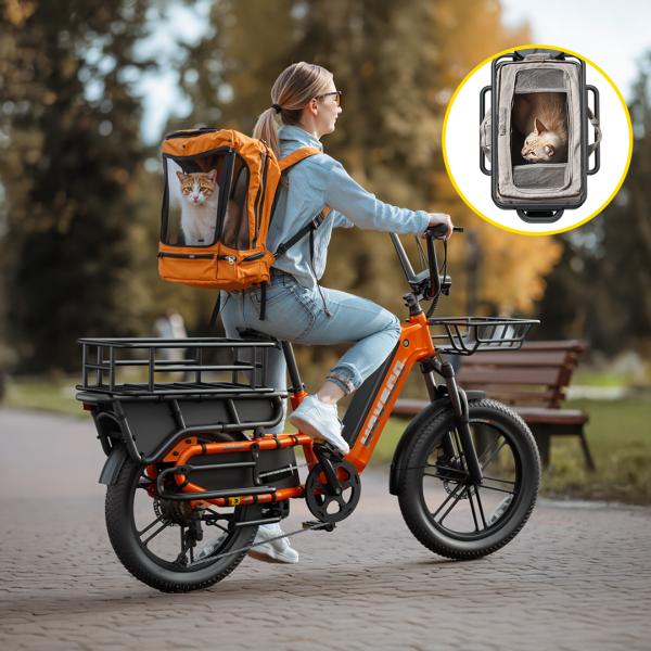 Heavy Duty Cargo Fat Tire Electric Bike for Delivery and Transport  with Strong Rear Rack and Basket