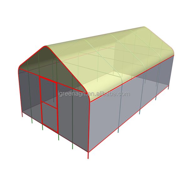 Galvanized Steel Frame Agricultural PE Film Low Cost Garden Green Houses for Plant Growing
