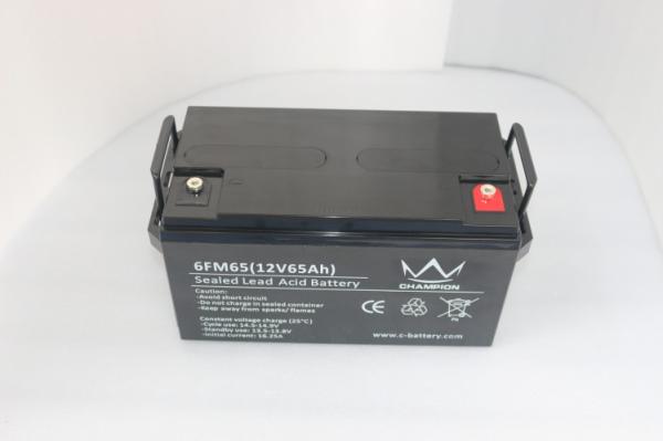 Bateria acidificada ao chumbo de carregamento da longa vida profunda do ciclo, bateria do ácido do gel 65ah