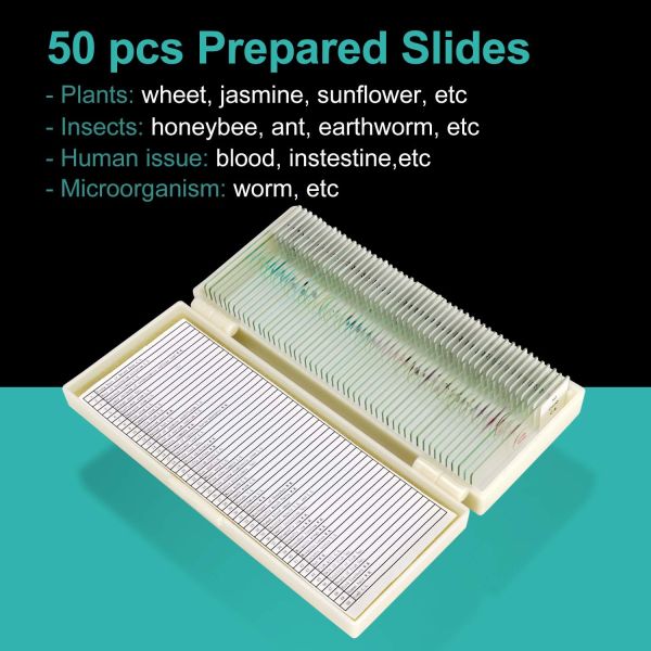 50pcs Biological Mixed OEM Prepared Microscope Slides