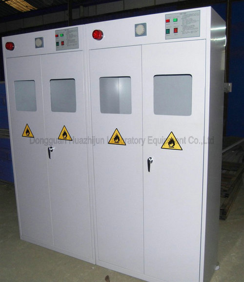Gas Storage Cabinet Company | Gas Storage Cabinet Supplier | Gas Storage Cabinet Price