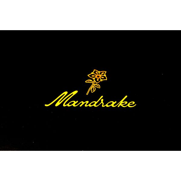 Essential Oil Collapsible Beauty Gift Box in Black with Rigid Cardboard and Custom Size