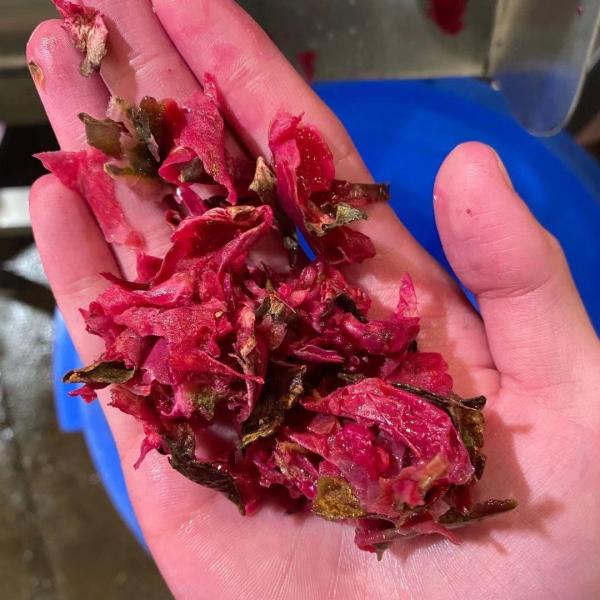 Pitaya Pulping  Industrial Juicer Machine SUS304 500 - 2000kg/H