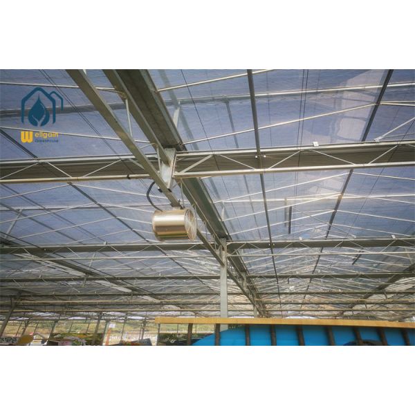 All Season Commercial Multi Span Greenhouse with Supplemental LED Grow Light Integration...