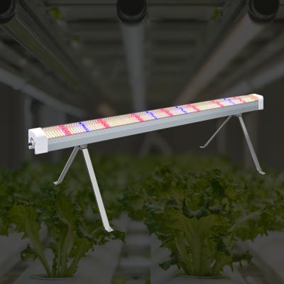 Lumières de culture à LED professionnelles hydroponiques à spectre complet sous canopée 120W