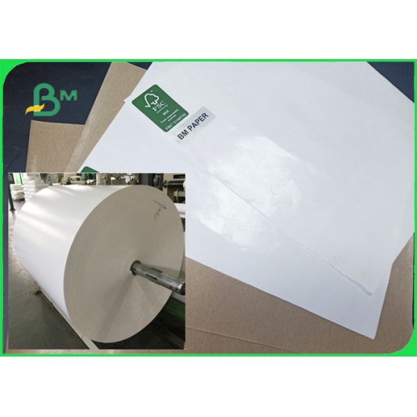 сторона 80гсм одно покрыла бумагу чашек качества еды высокопрочную в крене