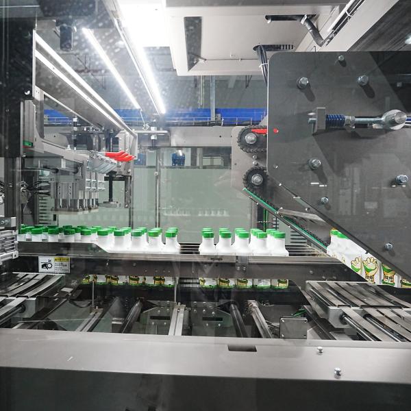 30kw Tic Tac Toe Wrap Around Case Packer Machine de cartonnage 45 boîte/minute