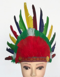 Indian headdress, ground anfield dress party outfit, feather headdress, chief hat.