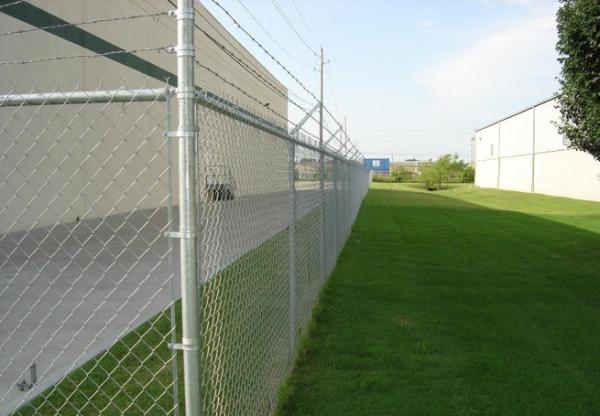 Steel Diamond Chain Link Fencing Galvanized 2-3/8 inch 11 Gauge 5ft X 50ft