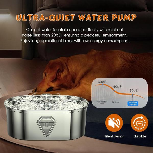 Pet Water Fountain with Advanced Filtration System | Ensure Clean and Healthy Hydration