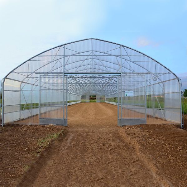 Парник Одно-пяди вентиляции стороны полиэтиленовой пленки тоннеля парника доски ПК поликарбоната высокий