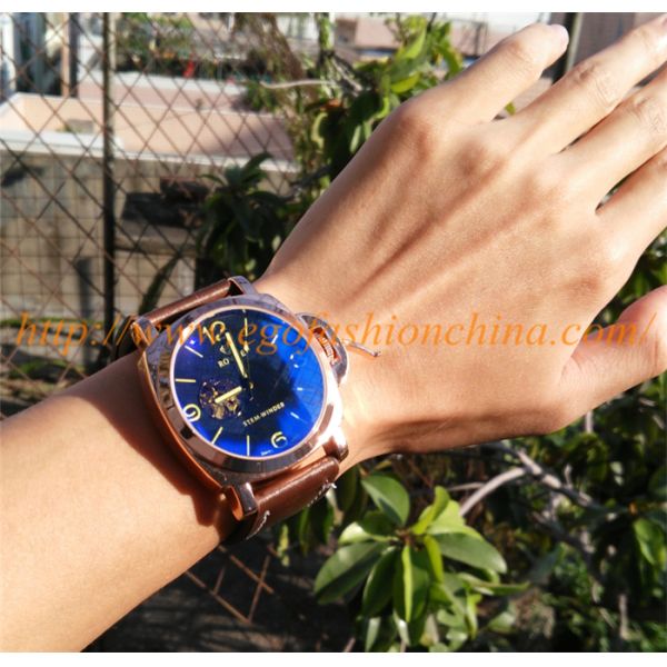 Top Brand WINNER Mechanical Movement Classic Watch Genuine Leather Strap Fashion Men Watch