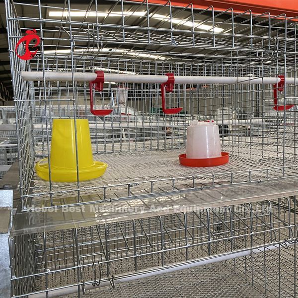 A Type Broiler Battery Cage Galvanized High Strength Poultry Broiler Cage  Iris