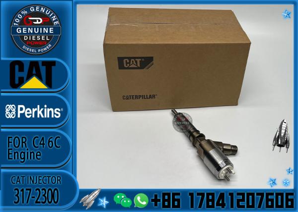 Excavadora 321D 323D original C6.4 C6.6 motor injetor 2645A717 injetor de combustível 3172300 317-2300