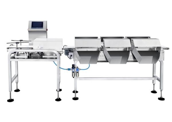 100P/M Checkweigher Scale