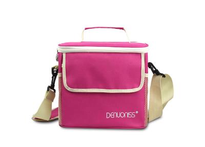 Big Capacity Lunch Cooler Bags Odorless Waterproof Fabric For Food Delivery