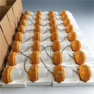 Explosion Proof Lighting with IP66 Protection  Function for Hazardous Areas