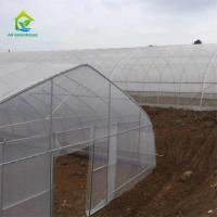 Serre chaude économique de voûte gothique de poly serre chaude de tunnel de Serre Gothique 240m2