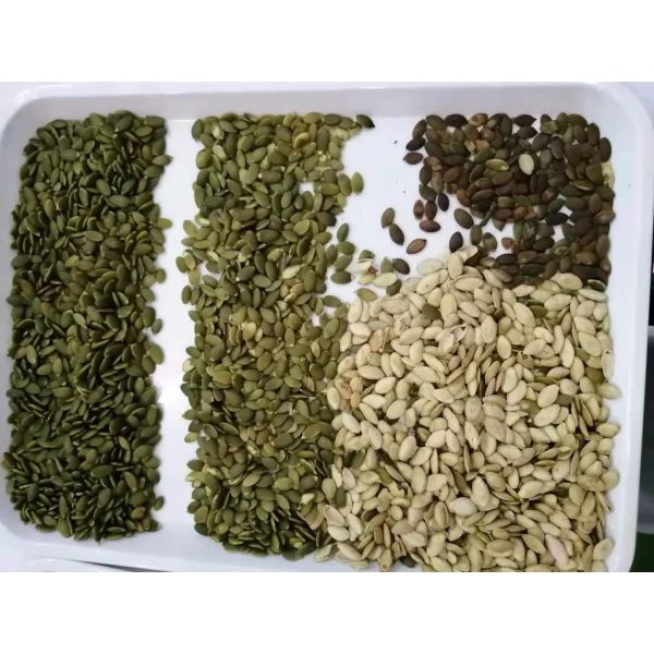 Парашют сортировщицы 4 цвета миндалины грецкого ореха CCD Тошиба оптически