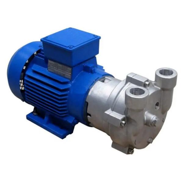 Custom Industrial Vacuum Pump Water Ring For Chemical Fertilizer