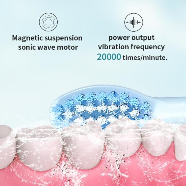 IPX8 Electric Rechargeable Toothbrush With Lithium Battery 500mAh