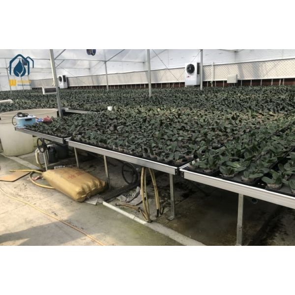 Mobile Plastic Seedling Tray Agricultural Seed Nursery Tray UV Resistant For