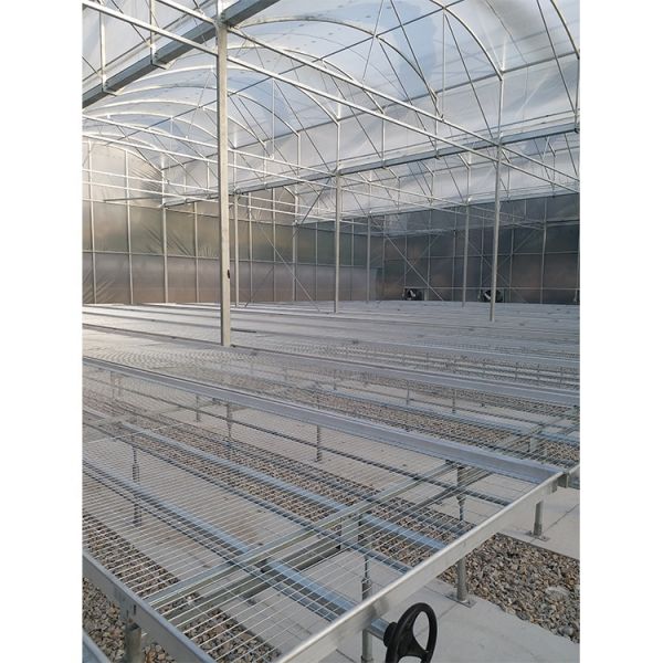 IGreen Saw Tooth Roof Vent Multi Span Plastic Greenhouse for Agriculture