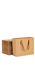 Retail Bag with Rope Handle, Metallizing, Business Bags, Craft Bags, Party Bags, Recyclable Bags