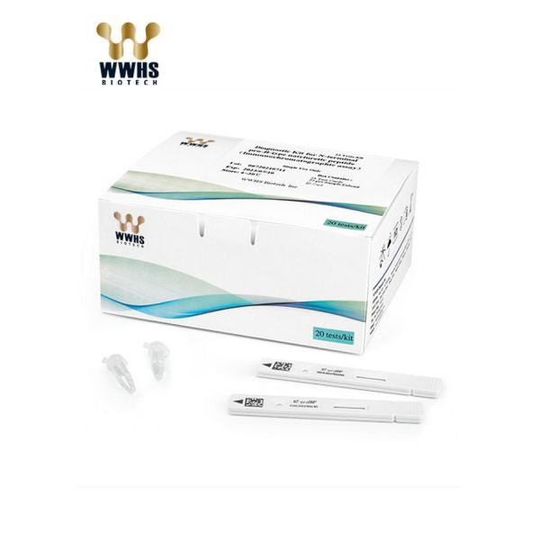 NT-proBNP Rapid POCT Test Kit 20-35000pg/ml ISO13485 Certified