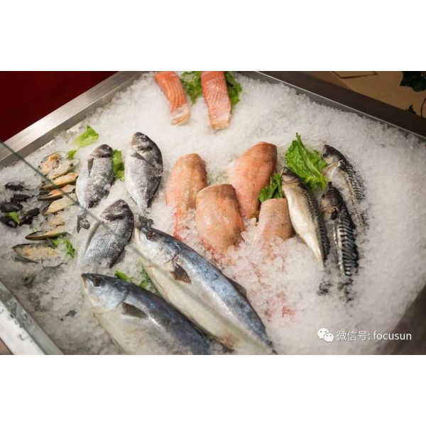 25 тонн суточной емкости Блок-Лед/Hielo en Bloque Машина с высокой скоростью и эффективностью