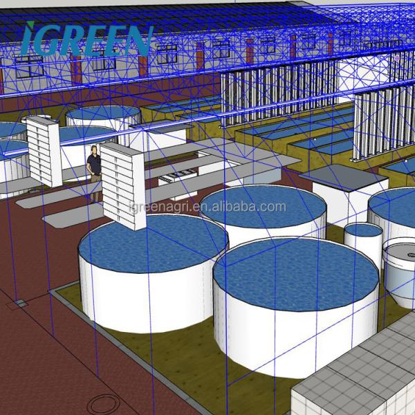Shrimp Recirculating Aquaculture System Easy Installation Ras System Fish Farming
