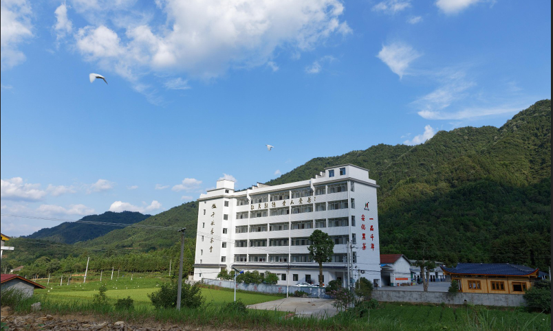 Dark Chinese Tea Ltd.