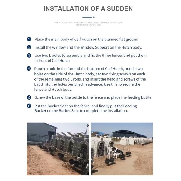 Husbandry Livestock Farm Equipment PE Cattle Farm Calf Housing