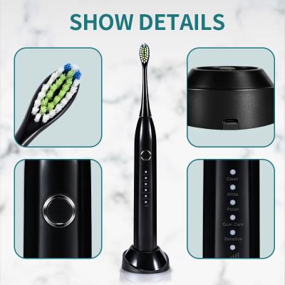 Black 3.7V Rechargeable Electric Toothbrush Automatic With Sonic Motor