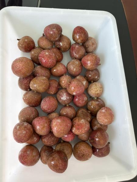 Sinocharm BRC A Approved IQF Frozen Product Fruit Peeled Lychee Good Price Best Price Lychee Wholesale Frozen Organic Lychee