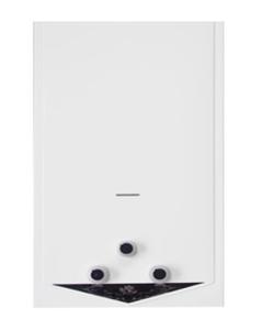 Low Pressure Flue Type Instant Gas Water Heater High Reliability For Hot Water