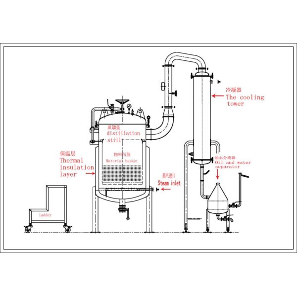 200L Essential Oil Distiller/Steam Destillation Equipment for Betel Leaf Oil Extraction Depend on Model