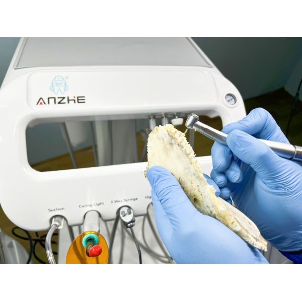 Ветеринарная стоматологическая рабочая станция